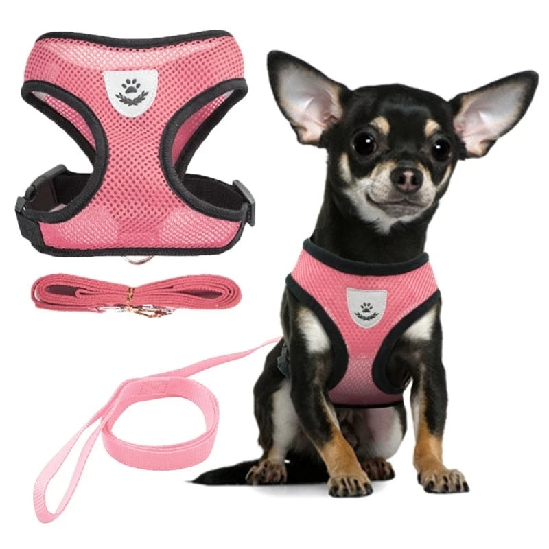 Adjustable Cat Harness and Leash