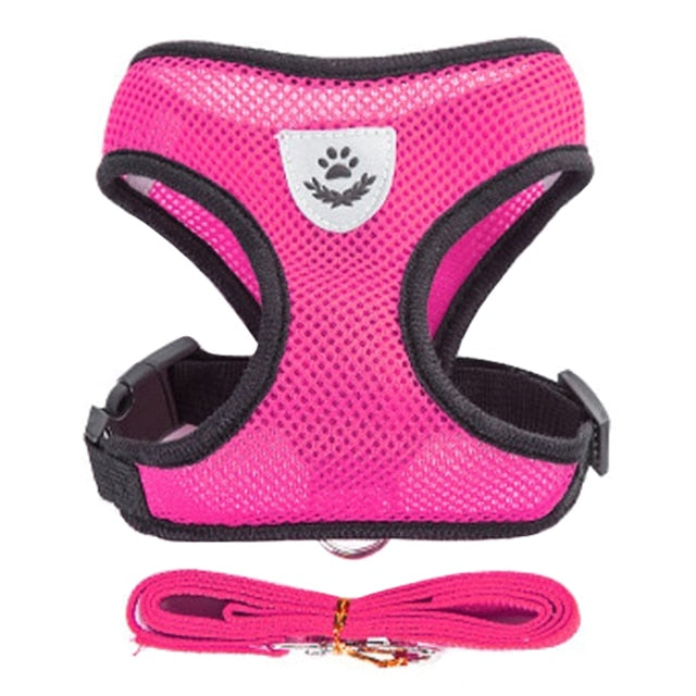 Adjustable Cat Harness and Leash