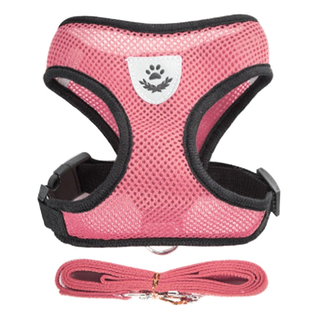 Adjustable Cat Harness and Leash