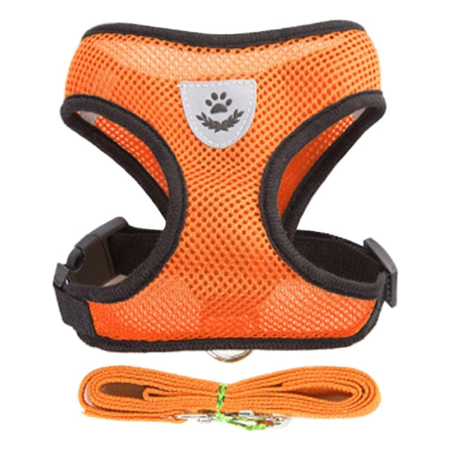 Adjustable Cat Harness and Leash