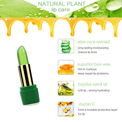 Lip Balm - Aloe Vera 99%